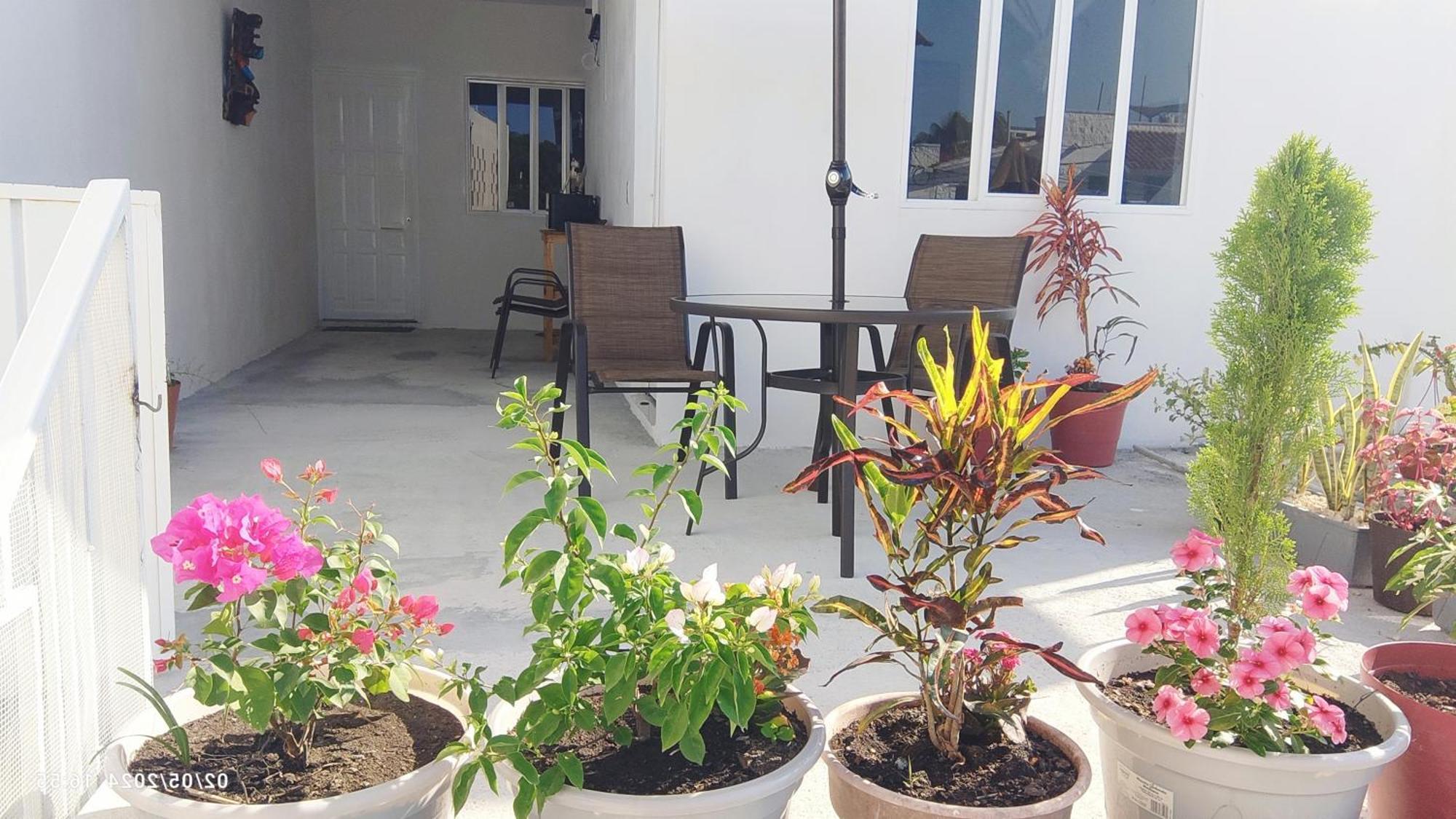 Tierra Maya Hotell Playa del Carmen Eksteriør bilde